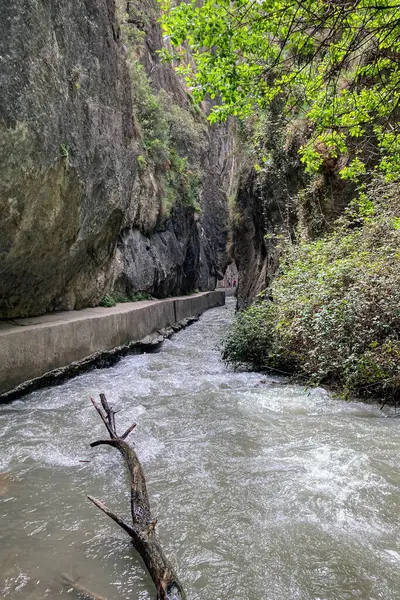 Monachil, Granada, İspanya 'daki Monachil nehri üzerinde Sabina' nın yürüyüş yolu.