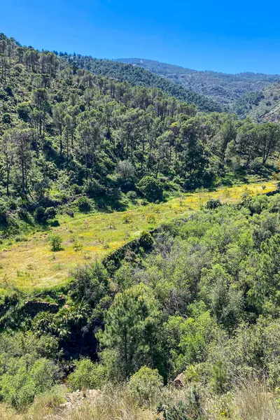 Caballos nehri üzerindeki şelalelere doğru yürüyüş yolu Tolox, Malaga, İspanya 'daki Sierra de la Nieves Ulusal Parkı