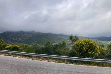 Yoldaki sisli dağlar, Endülüs, Sierra Tejeda Doğal Parkı, İspanya