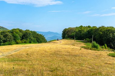 Khust Vadisi 'nin panoramik manzarası, Karpat Dağları, Ukrayna