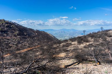 Mijas, Malaga, İspanya tepelerine giden yolda yanan orman.