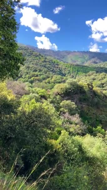 Maravilloso Paisaje Del Valle Del Genal Parque Nacional Sierra Las — Vídeo de stock