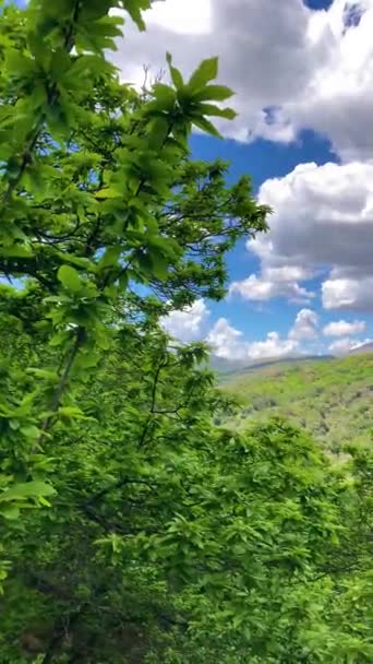 Maravilhosa Paisagem Vale Genal Parque Nacional Sierra Las Nieves Andaluzia — Vídeo de Stock