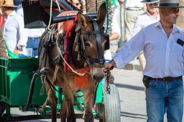 TORREMOLINOS, SPAIN - 24 Eylül 2023: 24 Eylül 2023 tarihinde İspanya 'nın Torremolinos kentindeki fuarın ilk günü olarak geleneksel San Miguel Romeria (Romeria de San Miguel) festivalinde hacılar