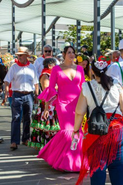 TORREMOLINOS, SPAIN - 24 Eylül 2023: 24 Eylül 2023 tarihinde İspanya 'nın Torremolinos kentindeki fuarın ilk günü olarak geleneksel San Miguel Romeria (Romeria de San Miguel) festivalinde hacılar