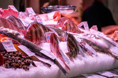 İspanya, Valencia 'daki merkez marketten deniz ürünleri almak.