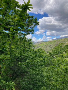 Sierra de las Nieves Ulusal Parkı 'ndaki Genal Vadisi' nin muhteşem manzarası, Endülüs, Güney İspanya