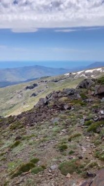 İlkbaharda Mulhacen tepesine yürüyüş parkurundaki keçi, Sierra Nevada sıradağları, Endülüs, İspanya
