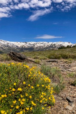 Karlı dağların panoramik manzarası bahar mevsiminde Mulhacen tepesine yürüyüş parkurunda, Sierra Nevada, Endülüs, İspanya