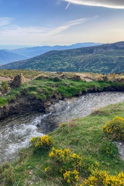 Water stream flowing from melting snow in the spring, Sierra Nevada range, Andalusia, Spain clipart