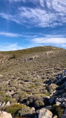 Torrecilla, Sierra de las Nieves Ulusal Parkı, Endülüs, İspanya