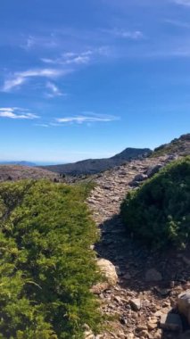 Torrecilla, Sierra de las Nieves Ulusal Parkı, Endülüs, İspanya