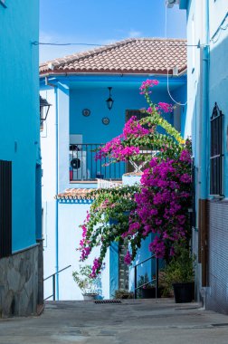 JUZCAR, İspanya - 6 Ekim 2023: Juzcar, İspanya 'daki Mavi Şirinler Köyü 6 Ekim 2023