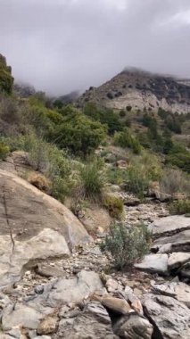 Fırtına gününde Maroma tepesine doğru yürüyüş yolunda sis ve bulutlar, Sierra Tejeda, İspanya 