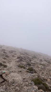 Maroma 'da kar yağışı ve sis fırtınası gününde, Sierra Tejeda, İspanya 