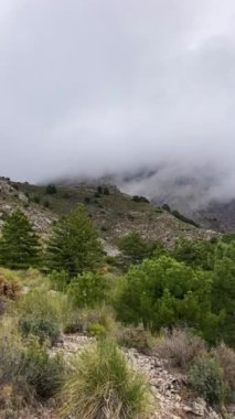 Fırtına gününde Maroma tepesine doğru yürüyüş yolunda sis ve bulutlar, Sierra Tejeda, İspanya 