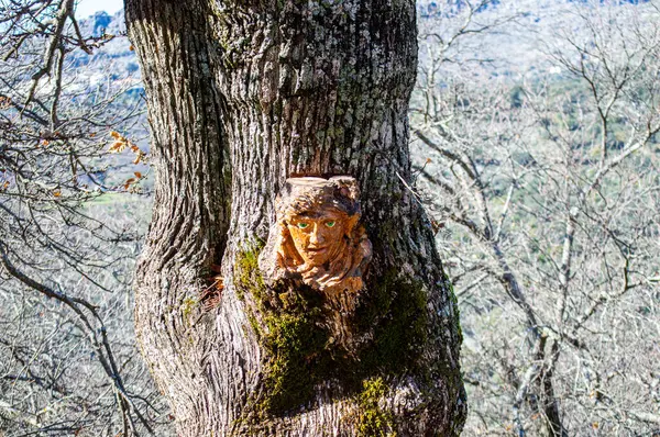 stock image PARAUTA, SPAIN - JANUARY 20, 2024: The Enchanted Forest of Parauta in Parauta, Spain on January 20, 2024