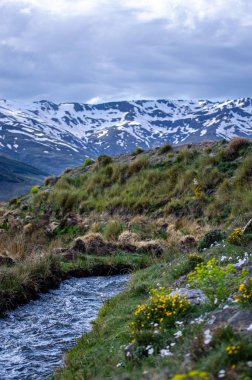 İlkbaharda eriyen kardan akan su akıntısı, Sierra Nevada, Endülüs, İspanya