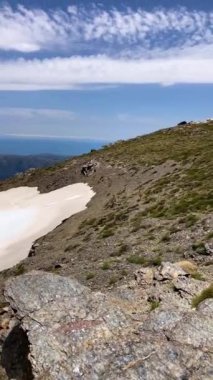 İlkbaharda Mulhacen tepesine yürüyüş parkurundaki keçi, Sierra Nevada sıradağları, Endülüs, İspanya