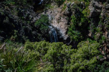 Caballos nehri üzerindeki şelalelere doğru yürüyüş yolu Tolox, Malaga, İspanya 'daki Sierra de la Nieves Ulusal Parkı