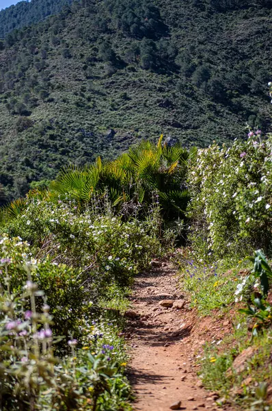 Caballos nehri üzerindeki şelalelere doğru yürüyüş yolu Tolox, Malaga, İspanya 'daki Sierra de la Nieves Ulusal Parkı