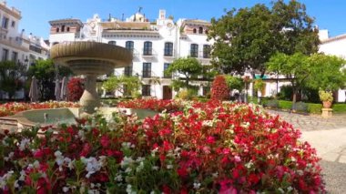 ESTEPONA, İSPAN - 29 Temmuz 2023 'te İspanya' nın Estepona kentinde yaz sabahı çiçek meydanı