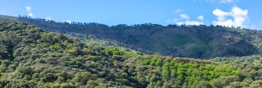 Sierra de las Nieves Ulusal Parkı 'ndaki Genal Vadisi' nin muhteşem manzarası, Endülüs, Güney İspanya