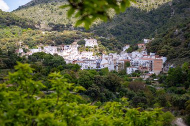 Sierra de las Nieves Ulusal Parkı 'ndaki Genal Vadisi' nin muhteşem manzarası, Endülüs, Güney İspanya
