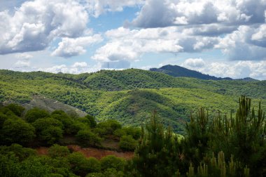 Sierra de las Nieves Ulusal Parkı 'ndaki Genal Vadisi' nin muhteşem manzarası, Endülüs, Güney İspanya