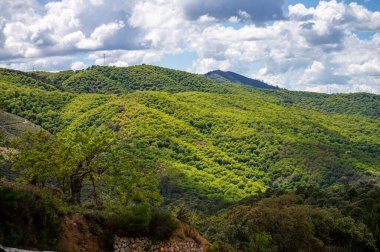 Sierra de las Nieves Ulusal Parkı 'ndaki Genal Vadisi' nin muhteşem manzarası, Endülüs, Güney İspanya