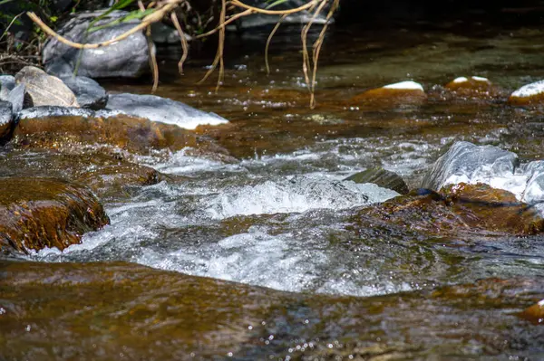 stock image Genal river in Sierra de las Nieves National Park, Andalusia, southern Spain