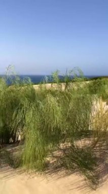 Valdevaqueros Dune Tarifa 'da, Cebelitarık Boğazı, İspanya