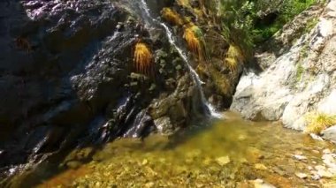 Caballos nehri üzerindeki şelalelere doğru yürüyüş yolu Tolox, Malaga, İspanya 'daki Sierra de la Nieves Ulusal Parkı