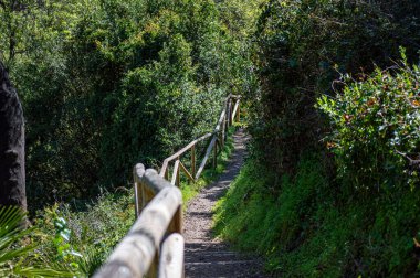 Molinos Nehri, Istan, Marbella, İspanya 'ya yürüyüş yolu