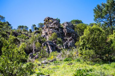 Caballos nehri üzerindeki şelalelere doğru yürüyüş yolu Tolox, Malaga, İspanya 'daki Sierra de la Nieves Ulusal Parkı