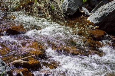 Sierra de las Nieves Ulusal Parkı 'ndaki Genal Nehri, Endülüs, Güney İspanya