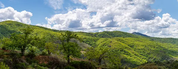 stock image Wonderfull landscape of Genal valley in Sierra de las Nieves National Park, Andalusia, southern Spain