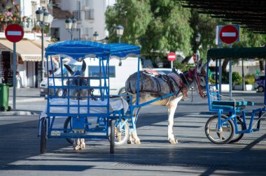 MIJAS, İSPAN - 7 Temmuz 2024: eşek taksisi. Eşek gezintileri 1960 'larda başladı. 7 Temmuz 2024 'te İspanya' nın Mijas kentindeki ziyaretçiler için önemli bir ilgi odağı 