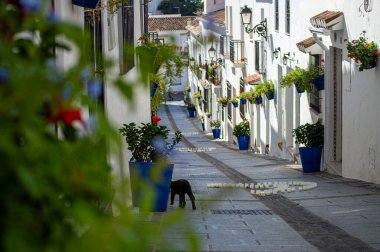 İspanya 'nın Endülüs bölgesindeki Mijas, Endülüs' teki beyaz yüzgeçli binalarıyla bilinen Costa del Sol 'a bakan büyüleyici beyaz İspanyol tepe köyü.