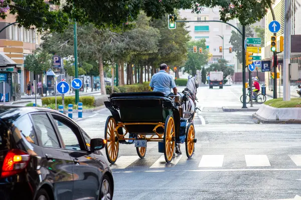 stock image MALAGA, SPAIN - AUGUST 13, 2023: Morning walk on Larios street in Malaga, Spain on August 13, 2023