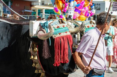 TORREMOLINOS, SPAIN - 24 Eylül 2023: 24 Eylül 2023 tarihinde İspanya 'nın Torremolinos kentindeki fuarın ilk günü olarak geleneksel San Miguel Romeria (Romeria de San Miguel) festivalinde hacılar