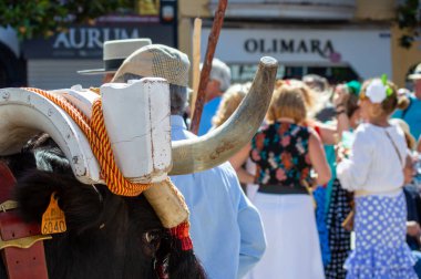 TORREMOLINOS, SPAIN - 24 Eylül 2023: 24 Eylül 2023 tarihinde İspanya 'nın Torremolinos kentindeki fuarın ilk günü olarak geleneksel San Miguel Romeria (Romeria de San Miguel) festivalinde hacılar