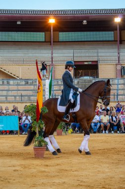 TORREMOLINOS, İspanya - 30 Eylül 2023: Atlılar 30 Eylül 2023 tarihinde İspanya 'nın Torremolinos kentindeki San Miguel fuarında gösteri yaptılar