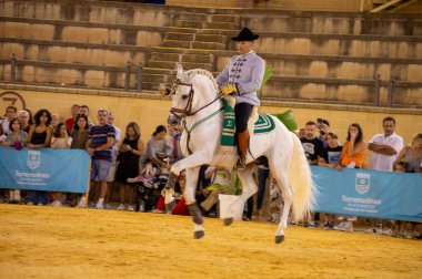 TORREMOLINOS, İspanya - 30 Eylül 2023: Atlılar 30 Eylül 2023 tarihinde İspanya 'nın Torremolinos kentindeki San Miguel fuarında gösteri yaptılar