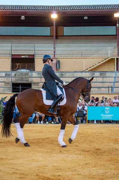 TORREMOLINOS, İspanya - 30 Eylül 2023: Atlılar 30 Eylül 2023 tarihinde İspanya 'nın Torremolinos kentindeki San Miguel fuarında gösteri yaptılar