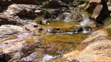 Caballos nehri üzerindeki şelalelere doğru yürüyüş yolu Tolox, Malaga, İspanya 'daki Sierra de la Nieves Ulusal Parkı