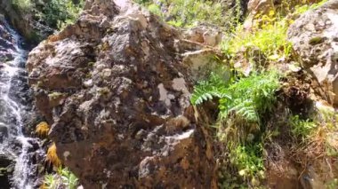 Caballos nehri üzerindeki şelalelere doğru yürüyüş yolu Tolox, Malaga, İspanya 'daki Sierra de la Nieves Ulusal Parkı