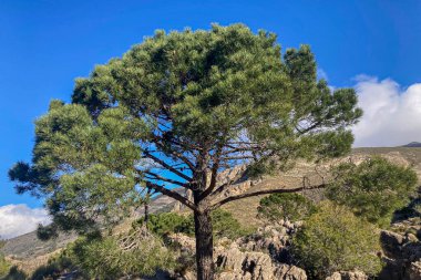 Fırtına gününde Maroma 'ya yürüyüş parkurundan panoramik manzara, Sierra Tejeda, İspanya 