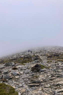 Maroma 'da kar yağışı ve sis fırtınası gününde, Sierra Tejeda, İspanya 