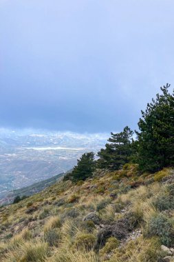 Fırtına gününde Maroma tepesine doğru yürüyüş yolunda sis ve bulutlar, Sierra Tejeda, İspanya 